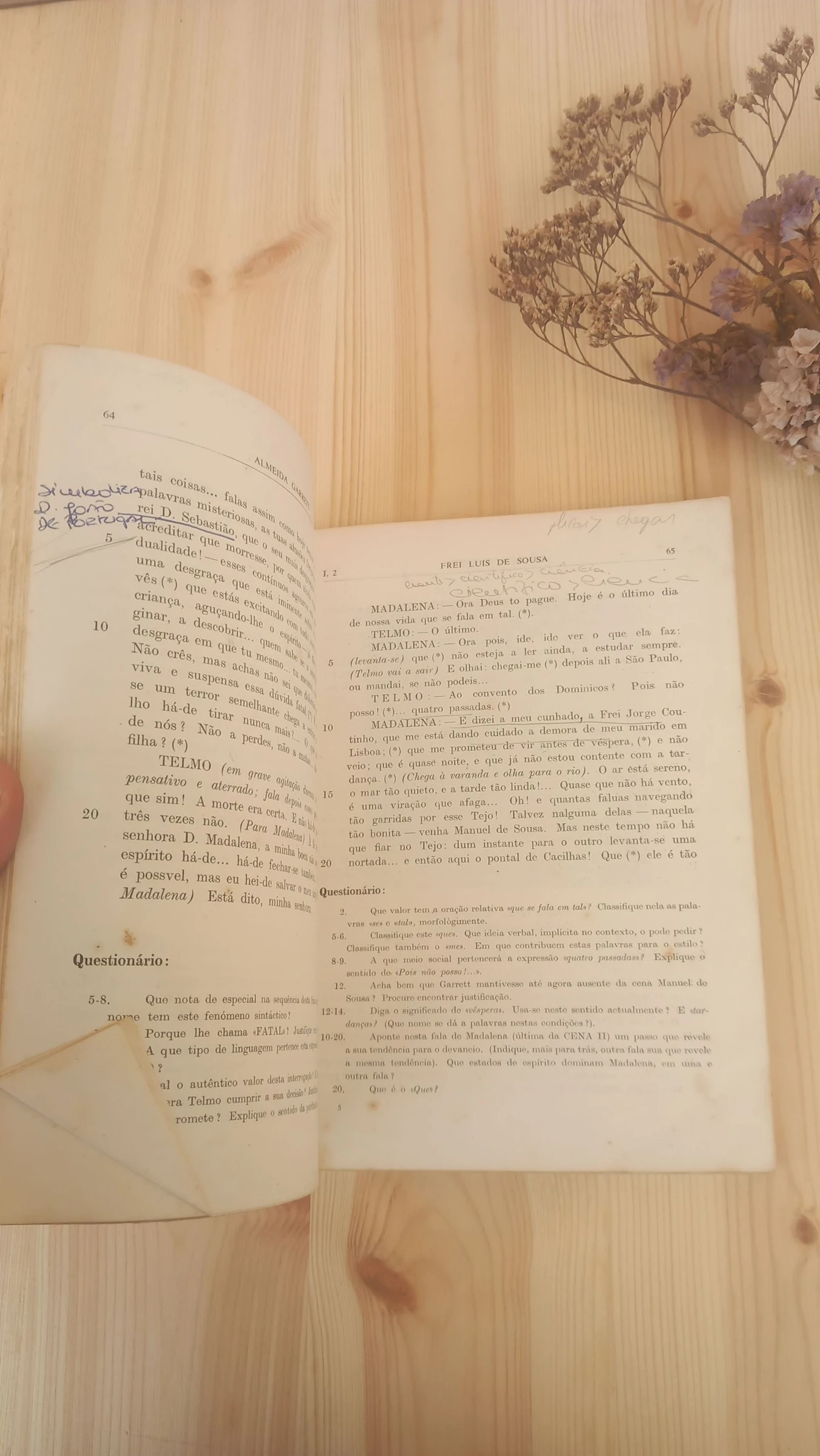 Frei Luís de Sousa, Almeida Garrett – photo 5